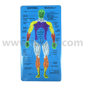 Haz clic para ver más imágenes CH5065