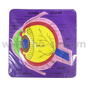 Haz clic para ver más imágenes CM5071